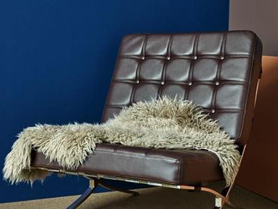 Ralston cool warmth - Malerarbeiten